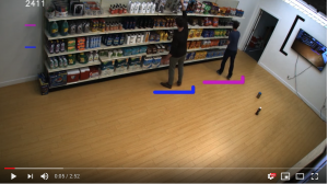 Standard Cognition in store cameras